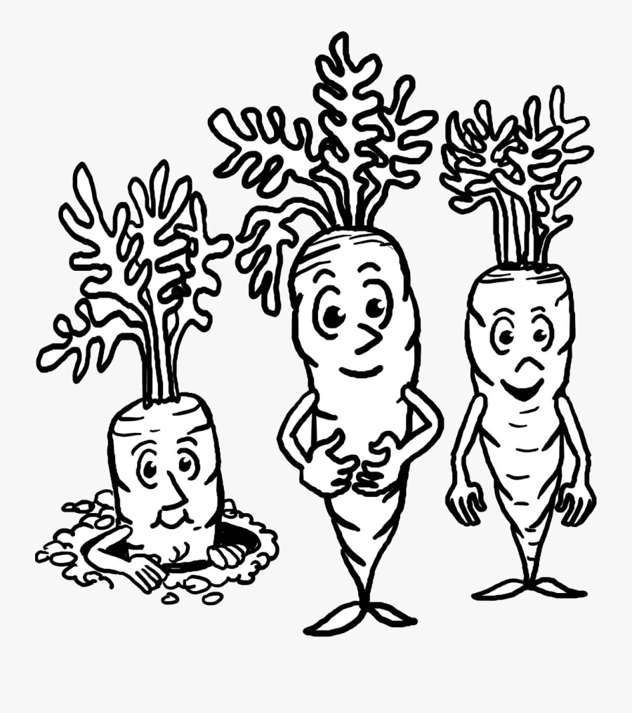 Is It A Vegetable, Transparent Clipart