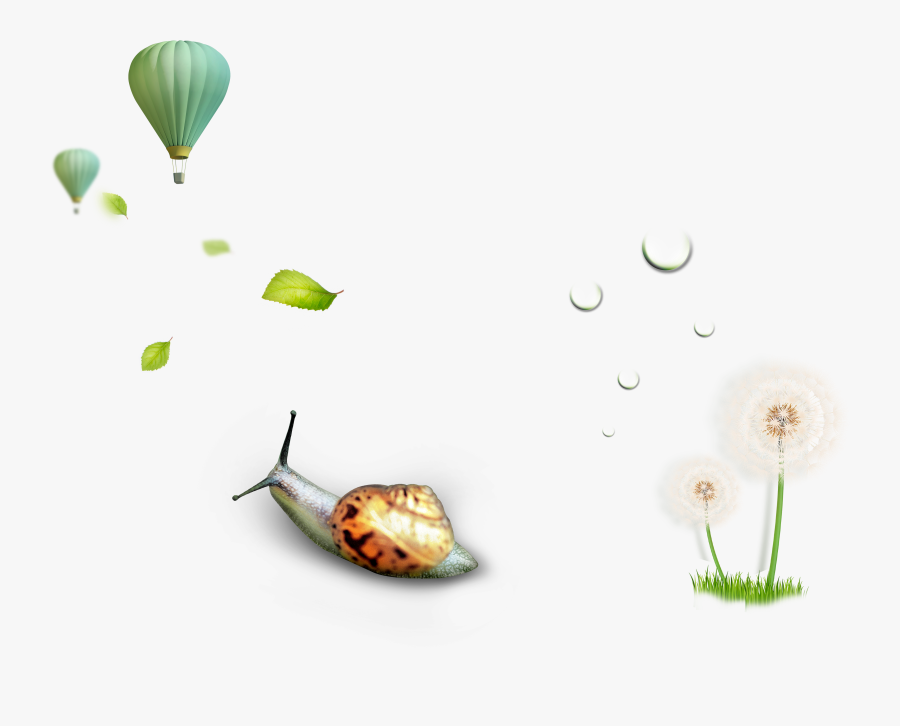 Nature Environment Icon, Transparent Clipart