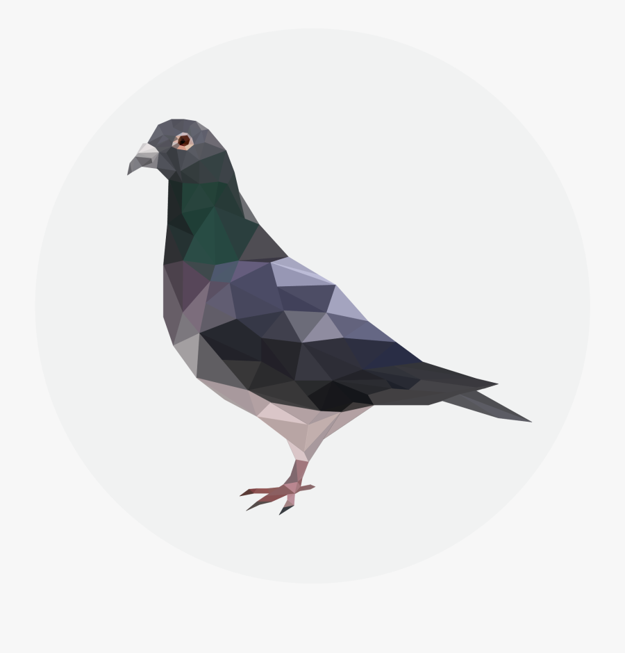 Pigeon Transparent Background, Transparent Clipart