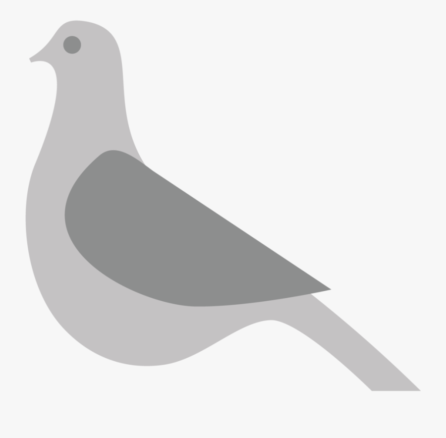 Transparent Pigeon Png, Transparent Clipart