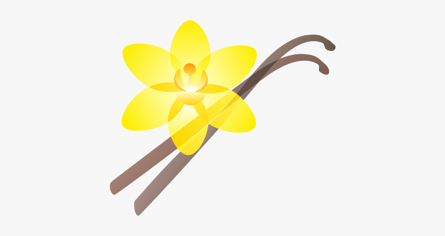 Vanilla - Artificial Flower, Transparent Clipart
