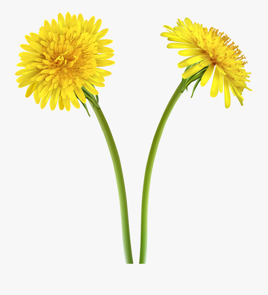 Clip Art Drawing Clip Art Transprent, Transparent Clipart