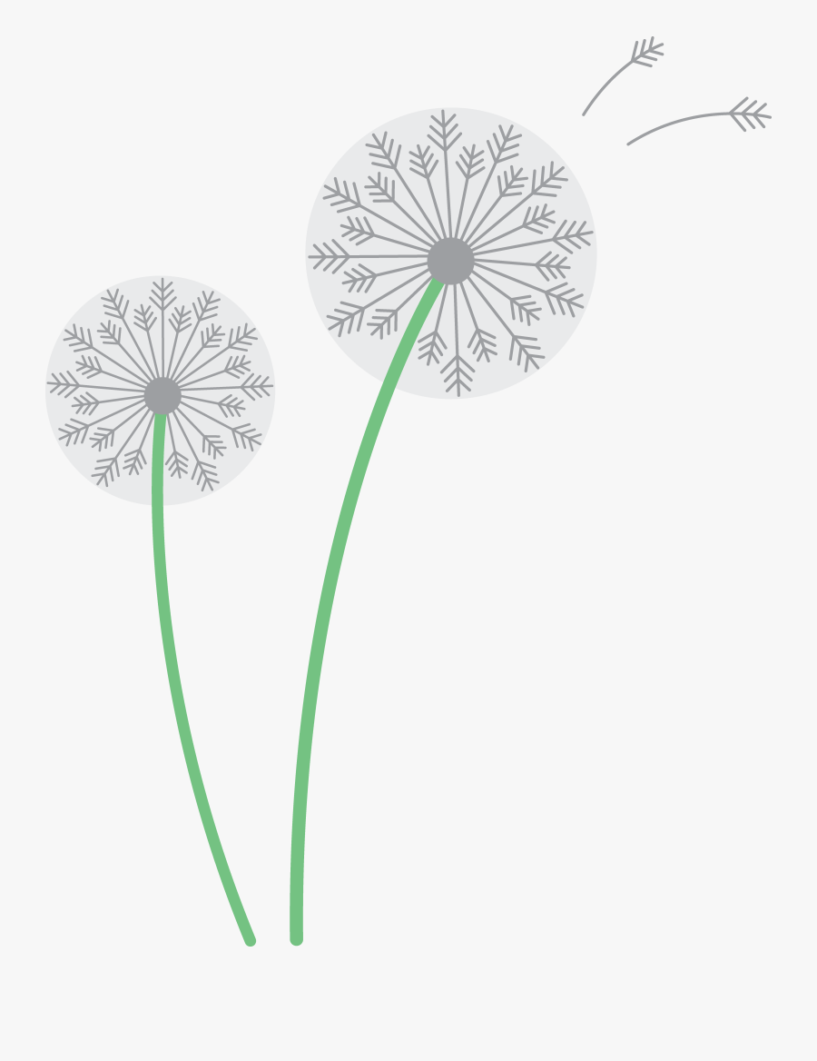 Two White Dandelions Free, Transparent Clipart