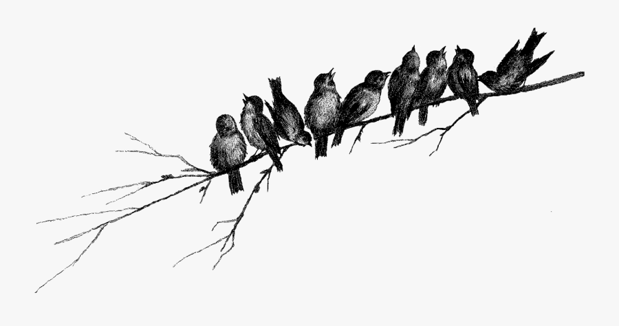 Singing Bird Clip Art, Transparent Clipart