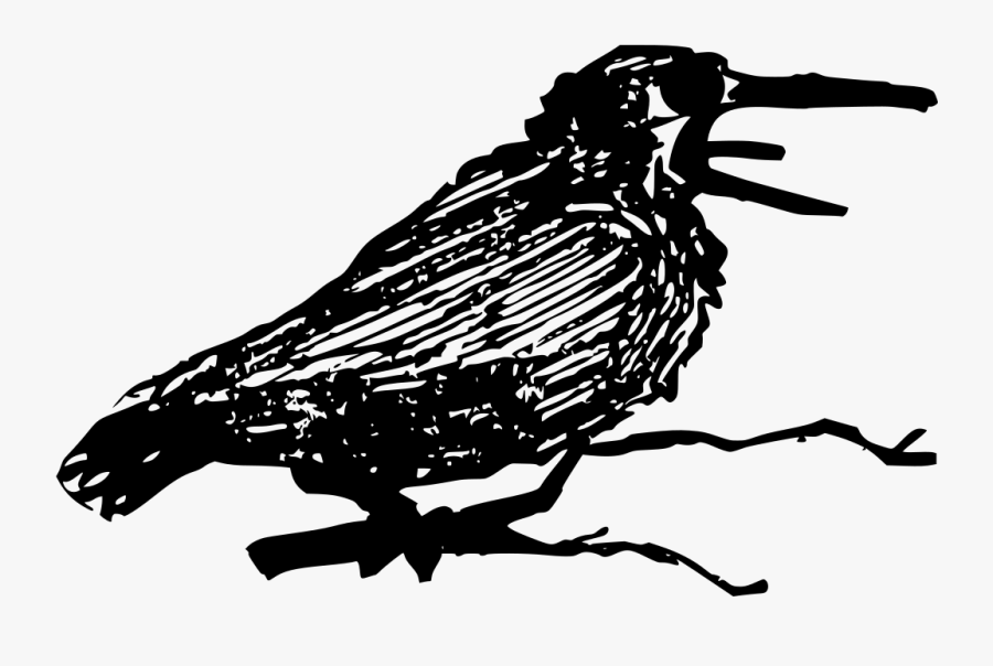 Bird Cawing, Transparent Clipart