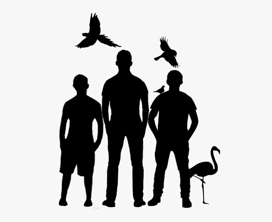Silhouette, Transparent Clipart