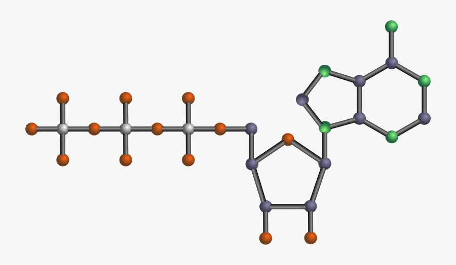 Atp - Nucleotide Clipart, Transparent Clipart