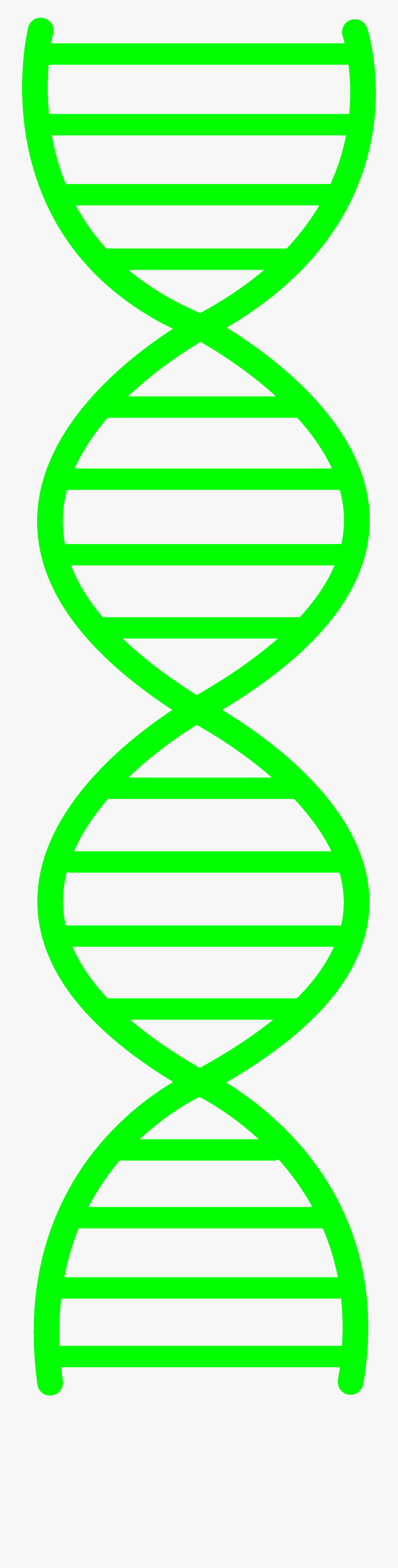Green Dna Design - Simple Dna Double Helix, Transparent Clipart