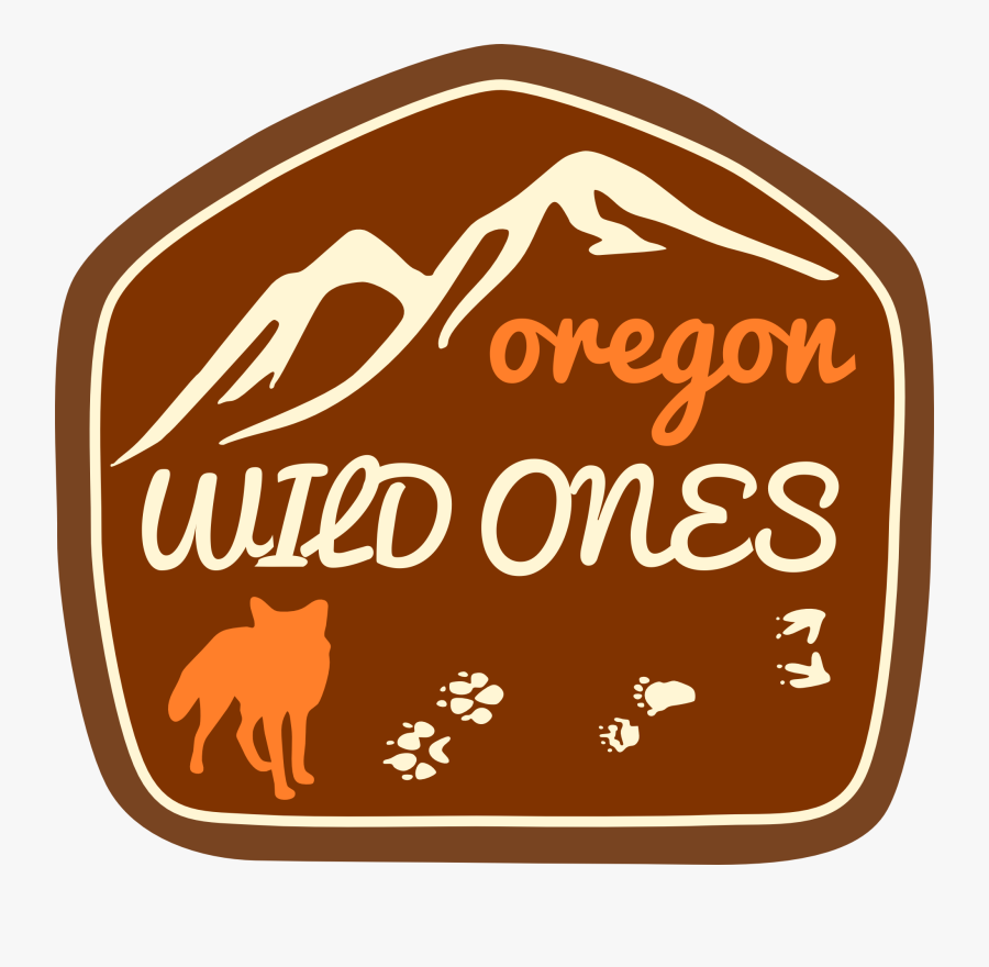 Portable Network Graphics, Transparent Clipart