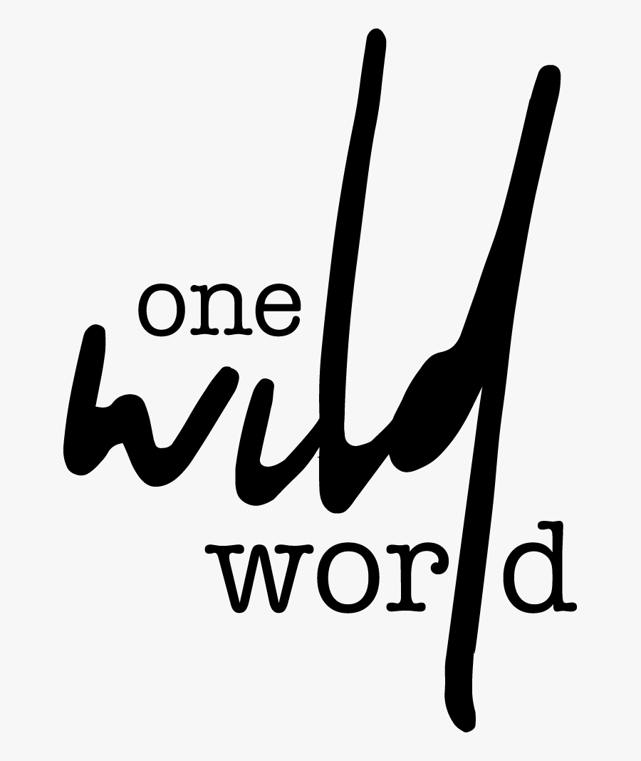 Calligraphy, Transparent Clipart