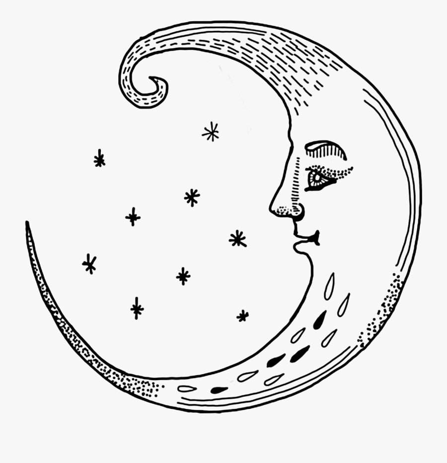 Line Art, Transparent Clipart