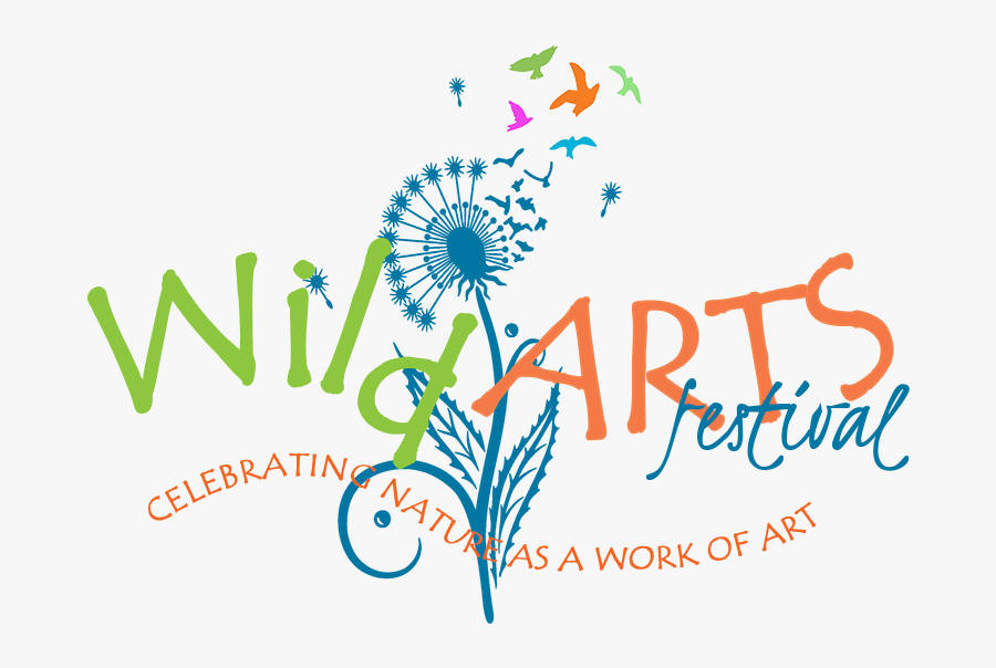 Graphic Design, Transparent Clipart