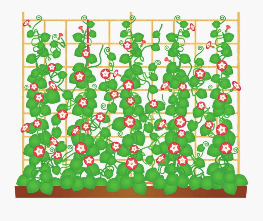 Flowering Vine, Vine, Ivy, Flowers, Floral - 緑 カーテン, Transparent Clipart