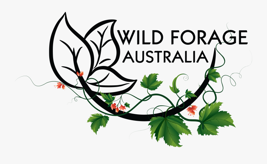 Wild Forage Australia, Transparent Clipart
