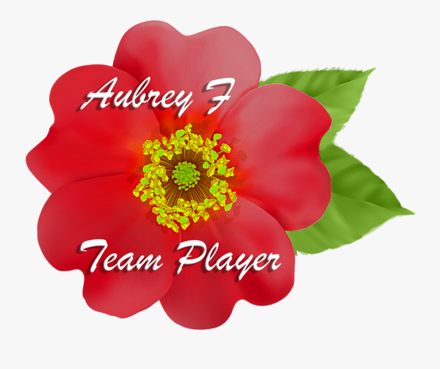 Caregiver, Transparent Clipart