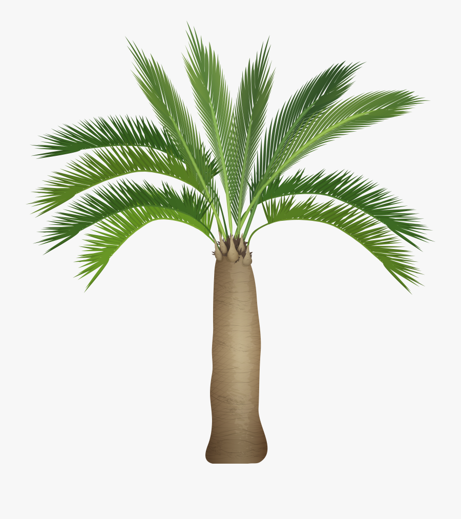 Christmas Palm Tree Png, Transparent Clipart