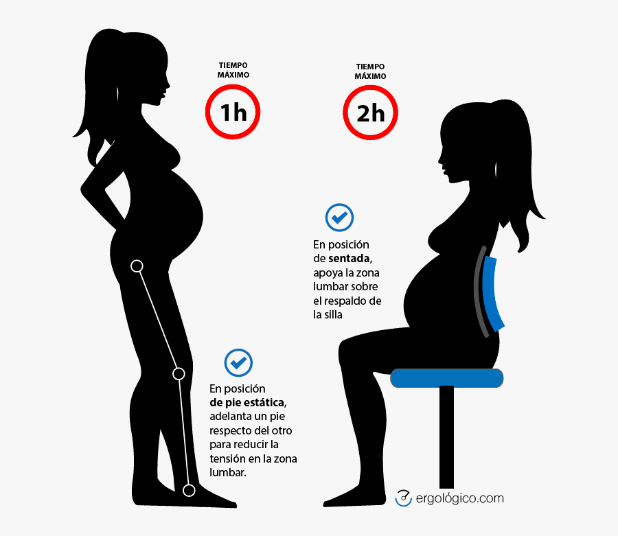 Lordosis Pregnancy, Transparent Clipart