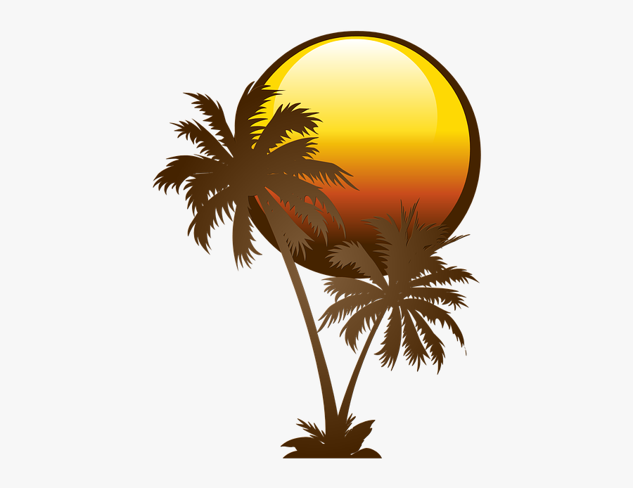 Palm, Tree, Solar, Day, Trees - Palmtree Icon White Black, Transparent Clipart