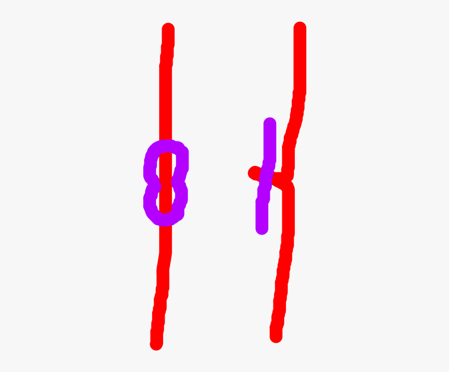 Imagen, Transparent Clipart