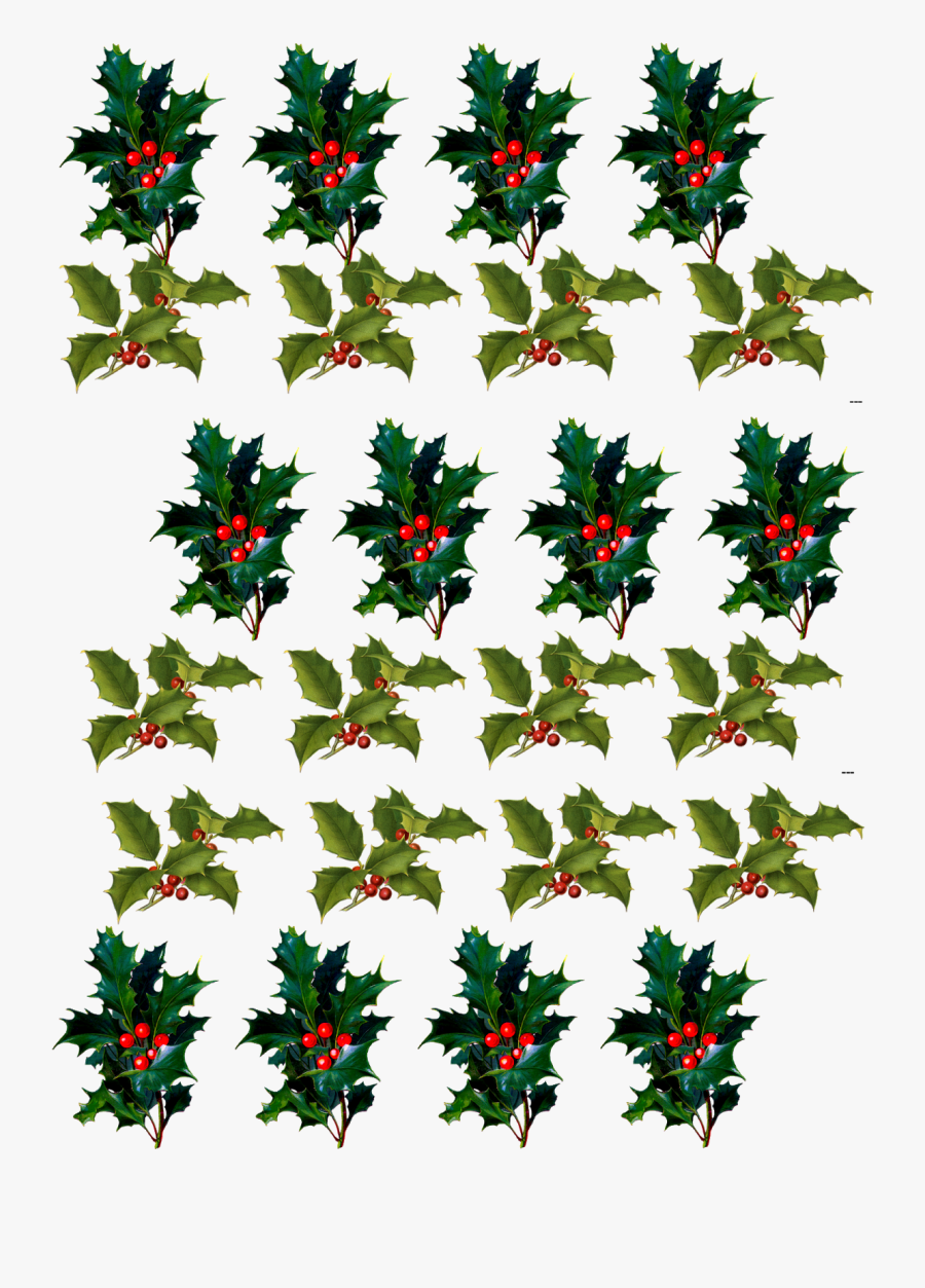 Clip Art, Transparent Clipart