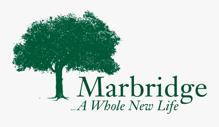 Human Brand Tree Behavior Logo Font Clipart - Tree, Transparent Clipart