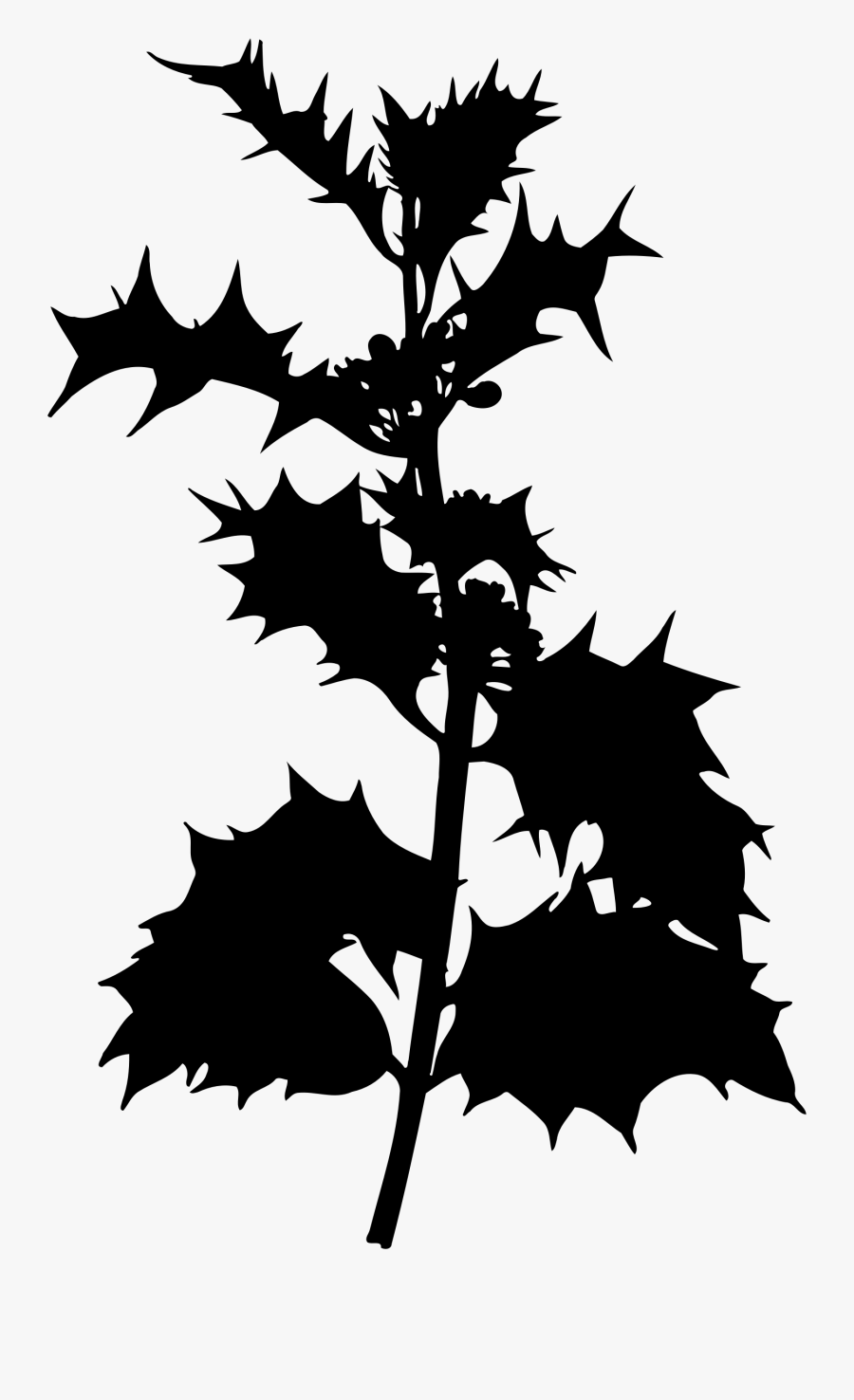 Holly 2 Clip Arts - Holly Bush Silhouette Png, Transparent Clipart