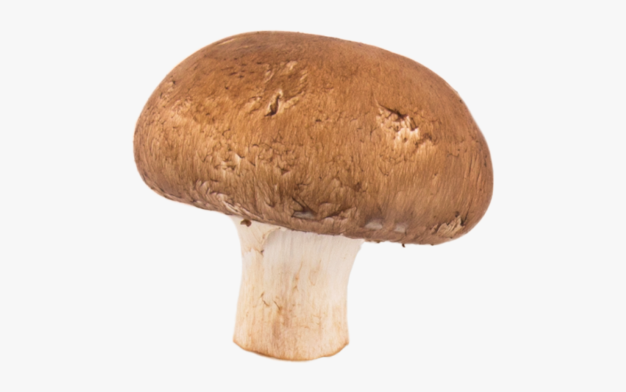 Mushroom Png, Transparent Clipart