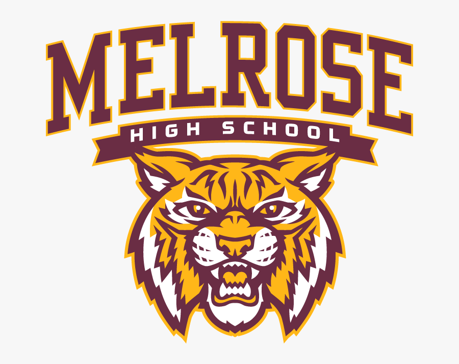 Picture - Illustration, Transparent Clipart