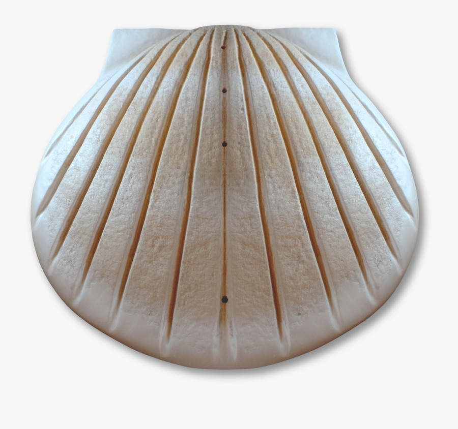 Urn, Transparent Clipart