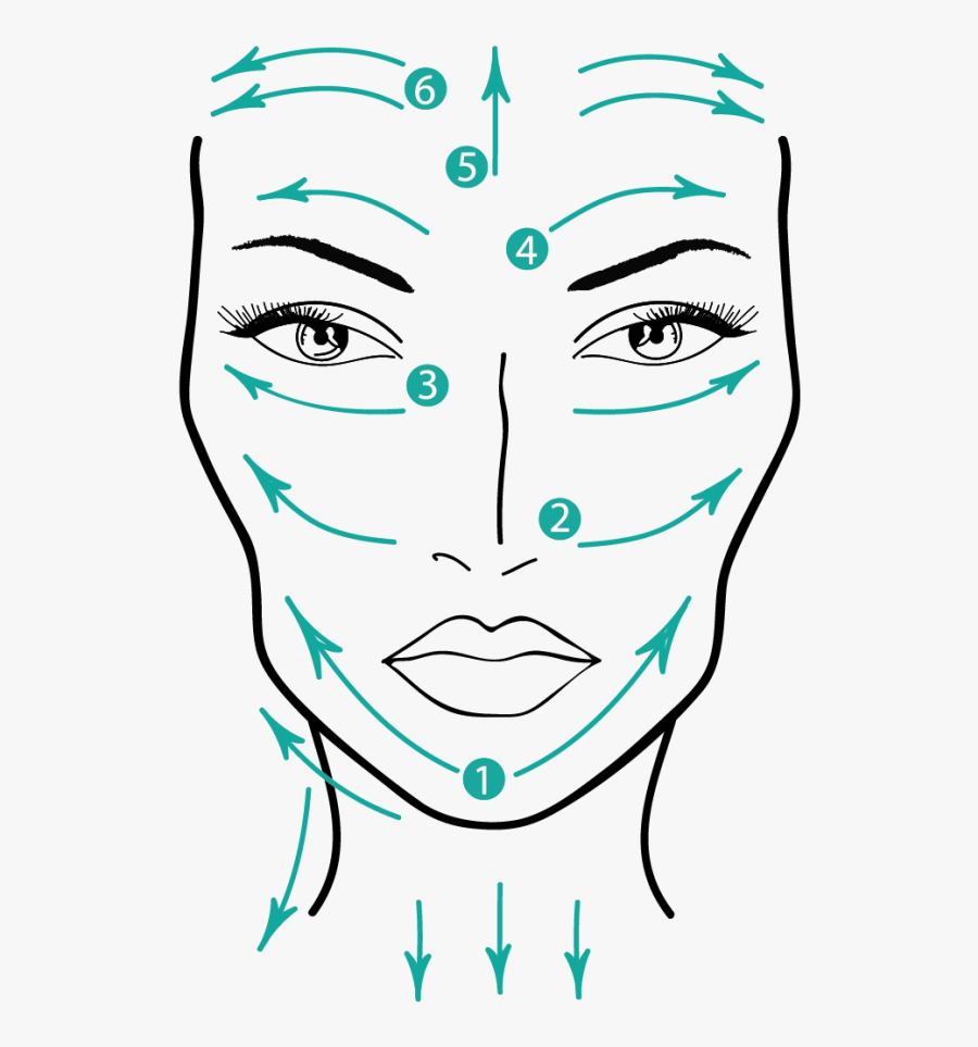 Sketch, Transparent Clipart