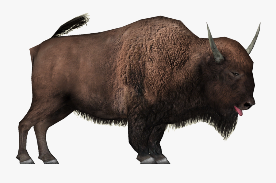 Clip Art Bison Png - Yak Png, Transparent Clipart