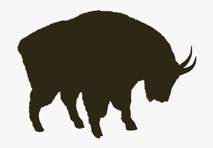 Mountain Goat - Bison - Bison, Transparent Clipart