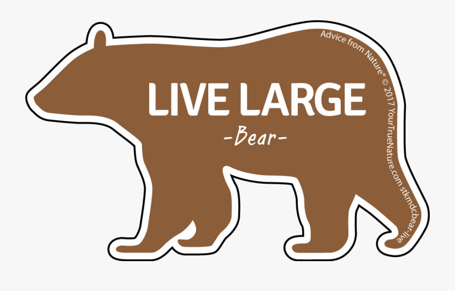Brown Bear, Transparent Clipart