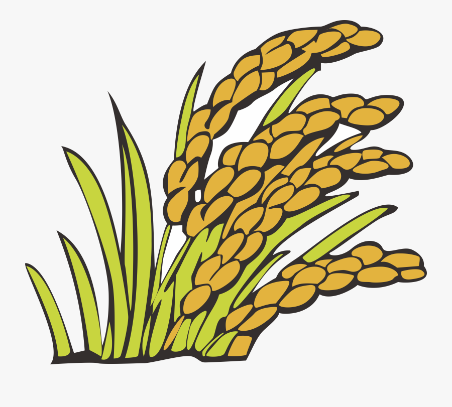 Wheat Clipart Bunga Padi - Padi Png, Transparent Clipart