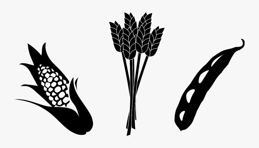 Crops Black And White, Transparent Clipart