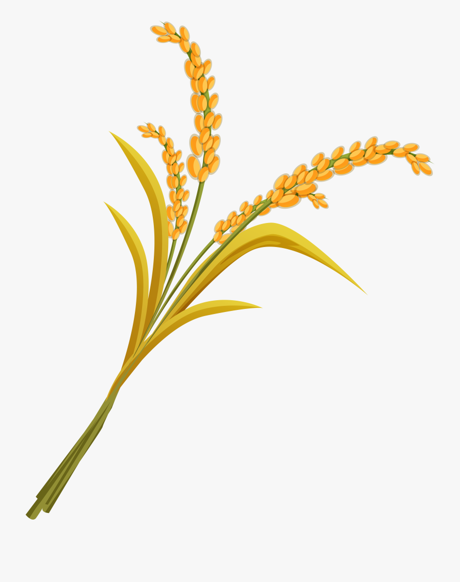 Wheat Png Image - Portable Network Graphics, Transparent Clipart