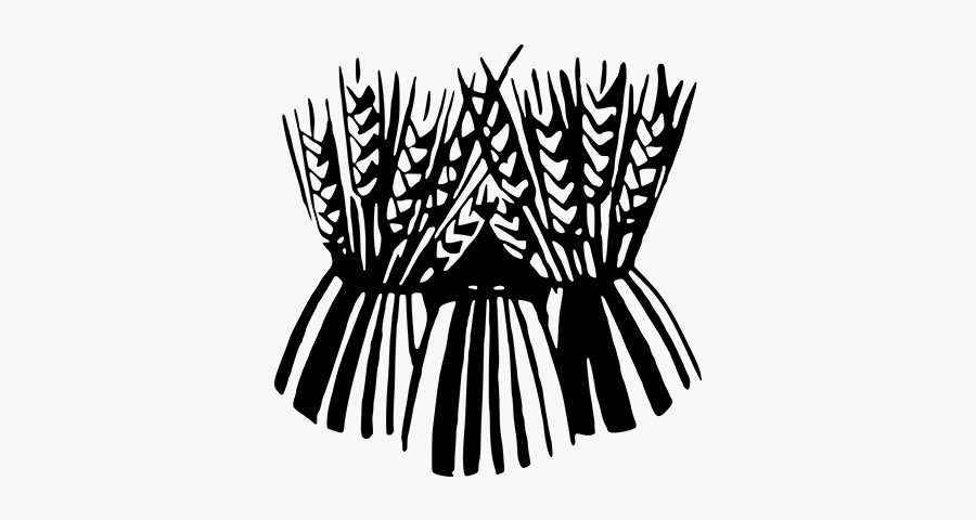 Grain Farms Ottawa - Harvest Moon September 2017, Transparent Clipart