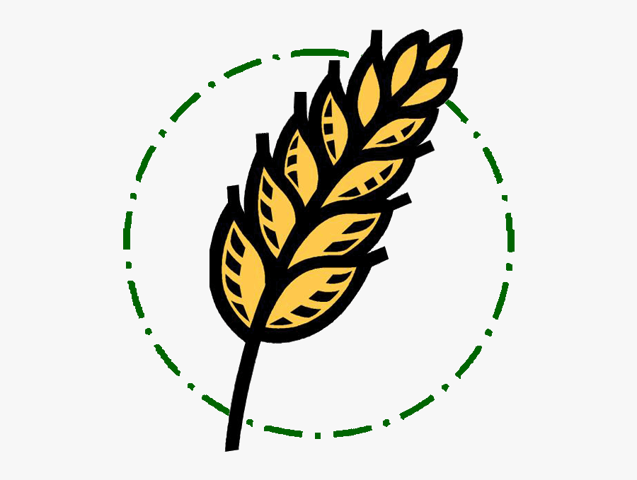 Grain Clipart Healthy Grain - Wh Sounds, Transparent Clipart