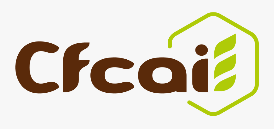 Graphic Design, Transparent Clipart