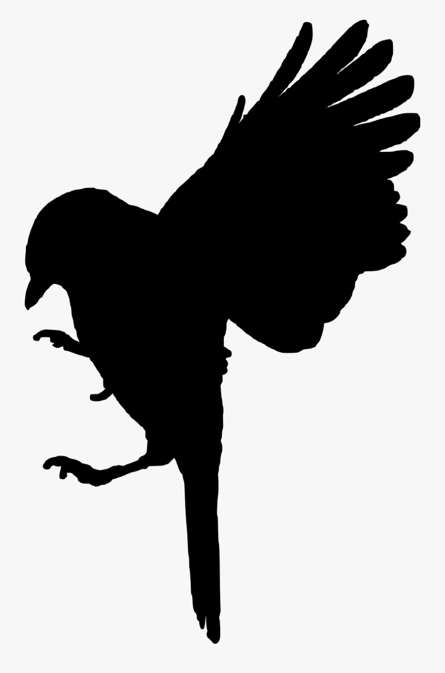 Bird, Flying, Cut Out, Great Tit, Animal, Songbird - Black Bird Cut Out, Transparent Clipart