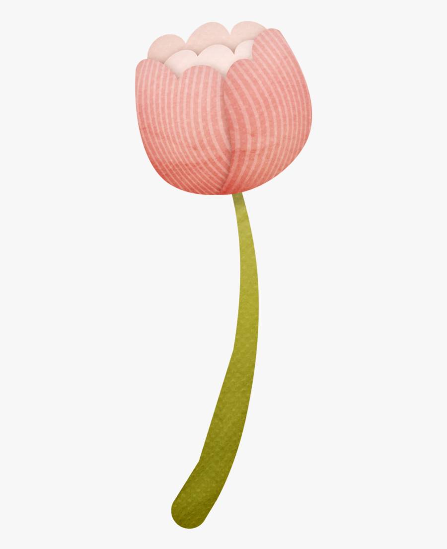 Tulip, Transparent Clipart