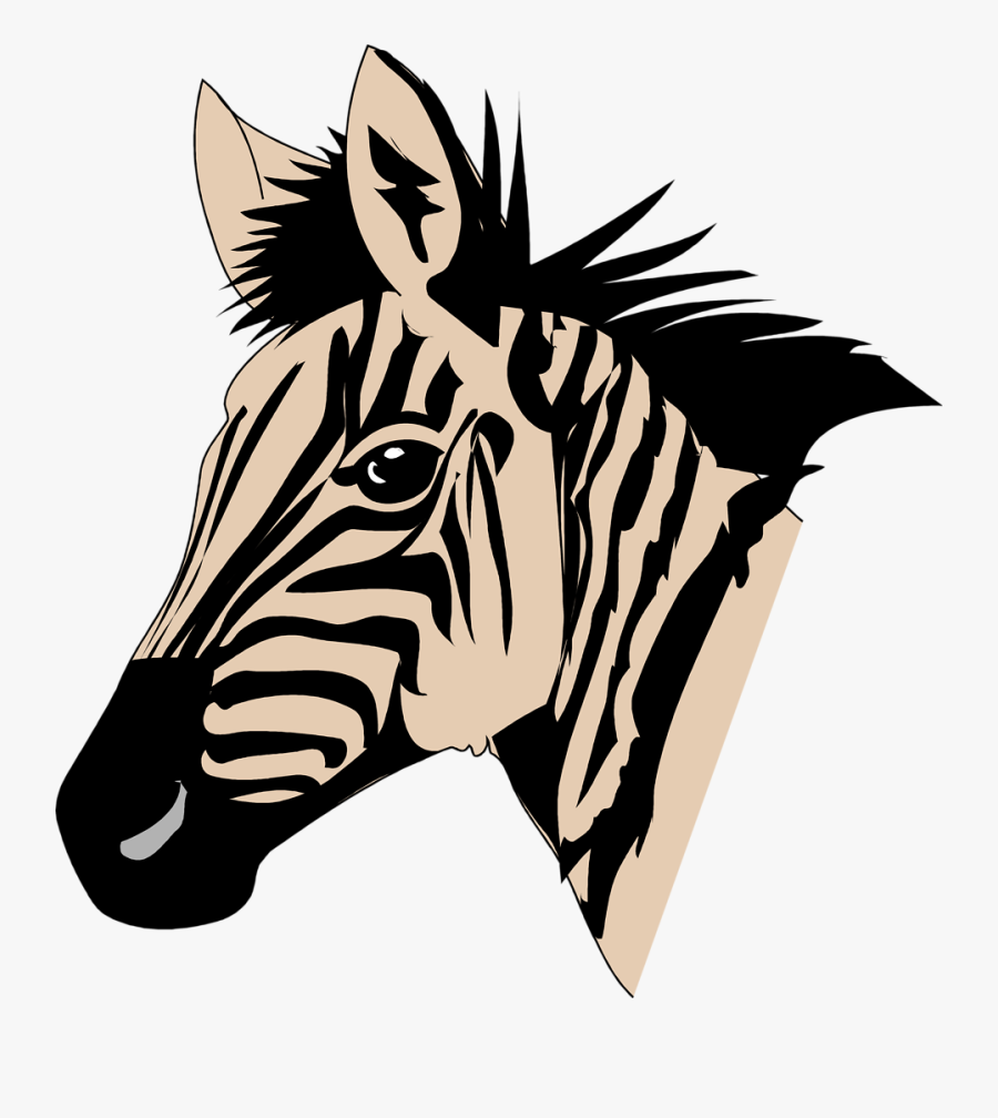 Zebras Free Stock Photo Illustration Of A Zebra Head - Face Of Zebra To Color, Transparent Clipart
