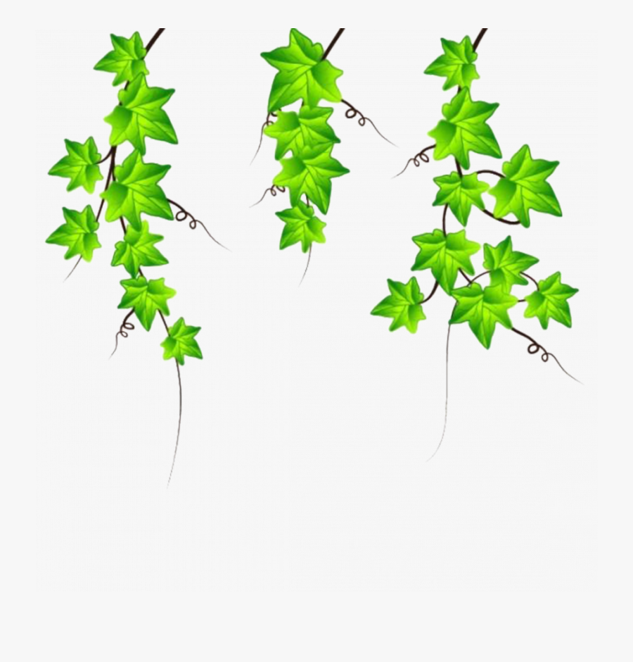 How To Draw Vines In Revit Pumpkin On A Wall Drawing - Ivy Vector, Transparent Clipart