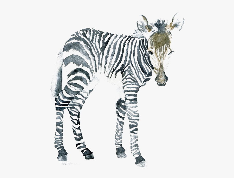 The Art Of Painting Zebra Watercolor Painting Canvas - Zebra Watercolor, Transparent Clipart