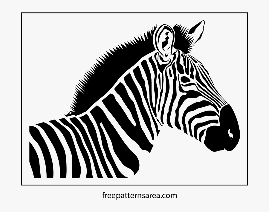 Beautiful Pics Of A Zebra, Transparent Clipart