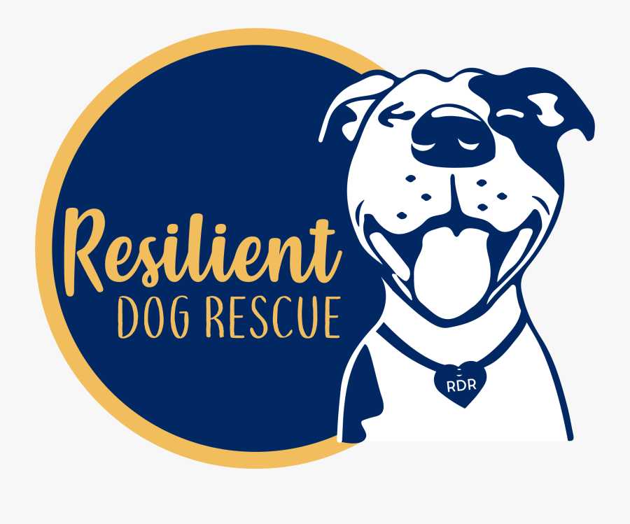 Dog Catches Something, Transparent Clipart
