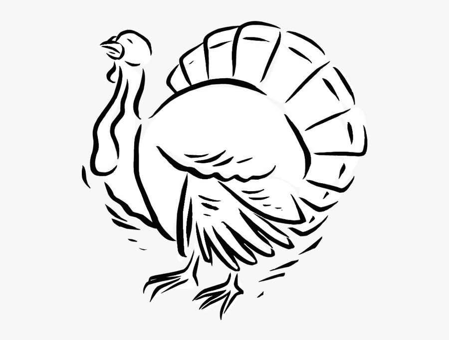 Turkey Coloring Page - Turkey, Transparent Clipart