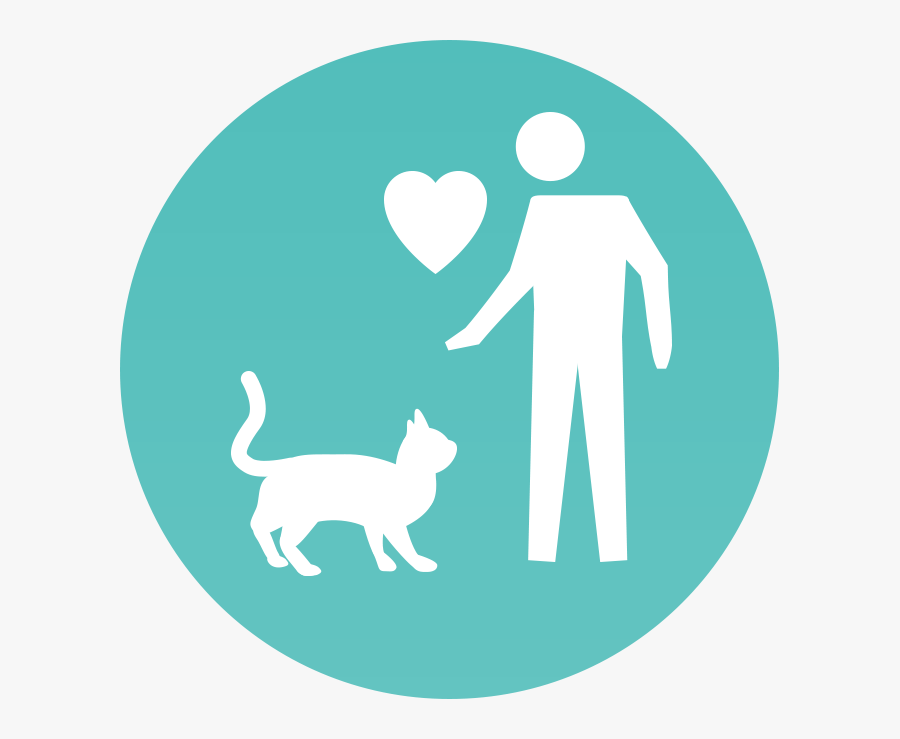 Cat - Illustration, Transparent Clipart