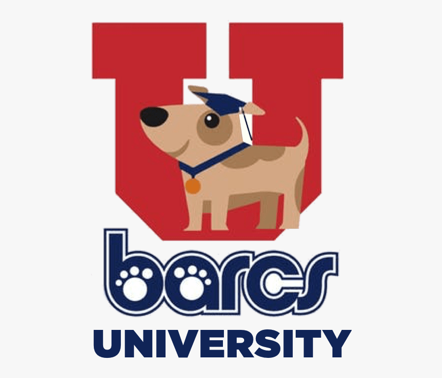 Terrier, Transparent Clipart