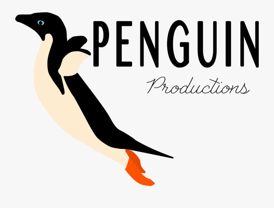 Picture - Seabird, Transparent Clipart